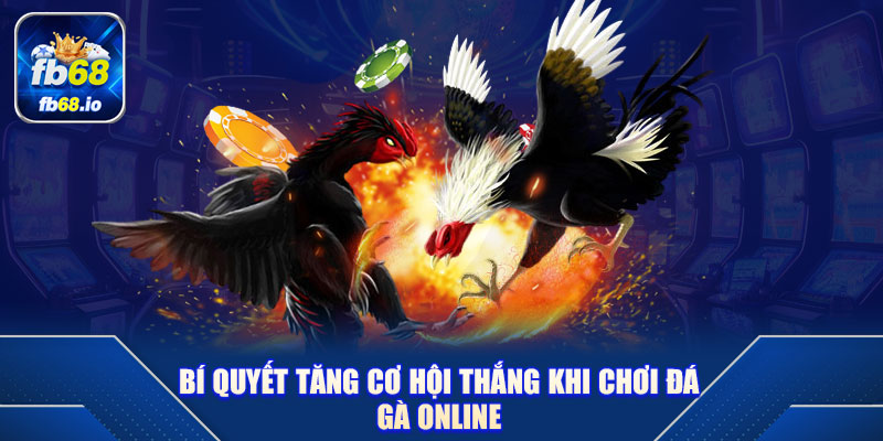 Bí Quyết Tăng Cơ Hội Thắng Khi Chơi Đá Gà Online