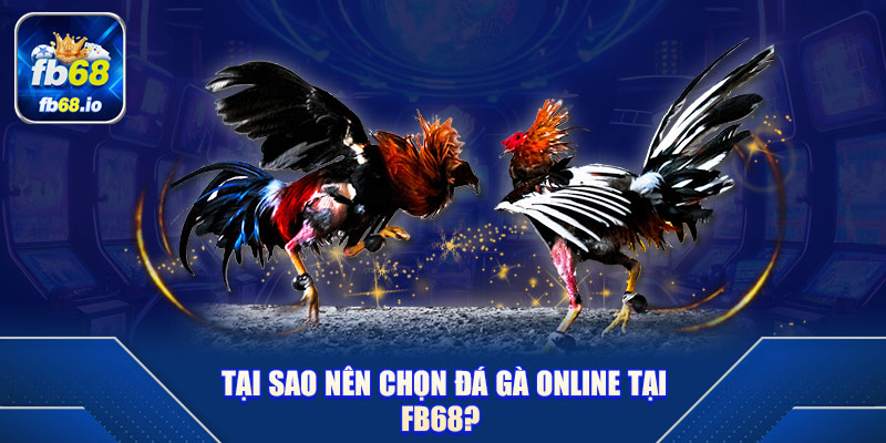 Tại Sao Nên Chọn Đá Gà Online Tại FB68?